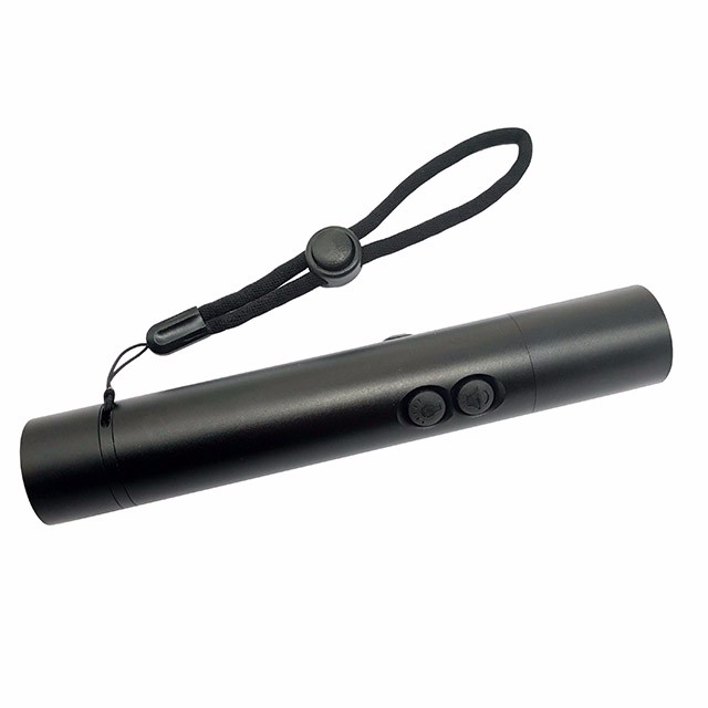 Multi-functional Electronic Whistle